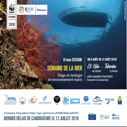 WWF Tunisia lance un offre de stage dans le cadre de la XIème édition de la semaine de la mer