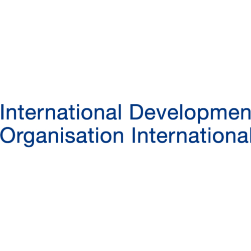 The International Development Law Organization (IDLO) recrute Program Associate