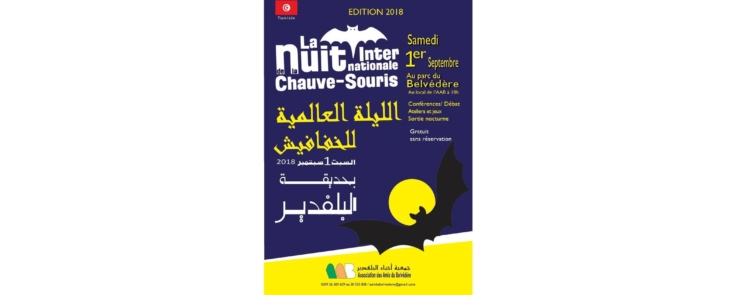Nuit internationale de la chauve-souris au Belvédère