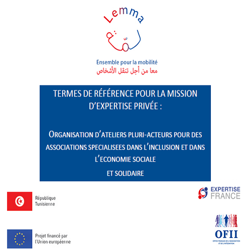 Le projet Lemma lance un appel à consultation : Organisation d’ateliers pluri-acteurs pour des associations spécialisées dans l’inclusion et dans l’économie sociale et solidaire