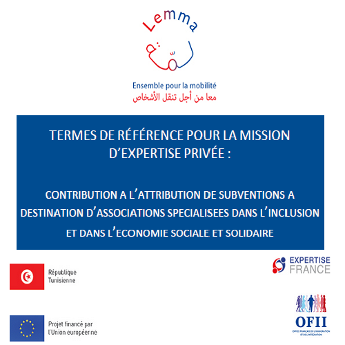 Le projet Lemma lance un appel à consultation : Contribution a l’attribution de subventions a destination d’associations spécialisés dans l’inclusion et dans l’économie sociale et solidaire