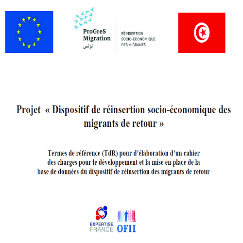 Expertise France recherche un prestataire qui sera chargé de développer et de mettre en place une base de données  pour le dispositif de réinsertion ».
