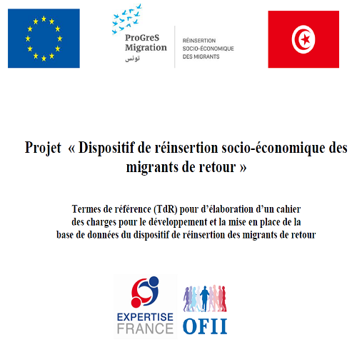Expertise France recherche un prestataire qui sera chargé de développer et de mettre en place une base de données  pour le dispositif de réinsertion