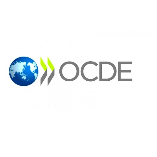 Le Programme MENA-OCDE pour la Gouvernance de  l’Organisation de Coopération et de Développement Économiques (OCDE)