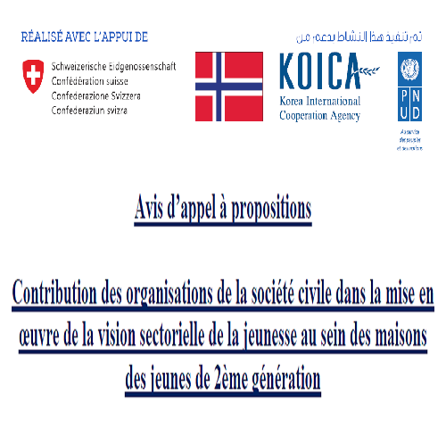 Le projet Tamkeen, du Programme des Nations Unies pour le développement (PNUD), lance un appel à propositions pour appuyer des initiatives de la société civile