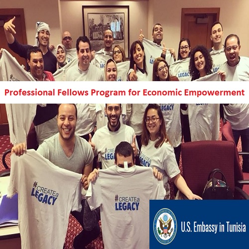 (Offre en anglais) L&rsquo;ambassade Américaine en Tunisie lance un appel à candidatures pour son programme d&rsquo;échange PFP : Professional Fellows Program for Economic Empowerment