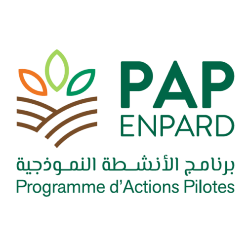 Recrutement d’un(e) chargé(e) de communication