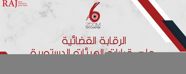 الرقابة القضائية على قرارات الهيئات الدستورية