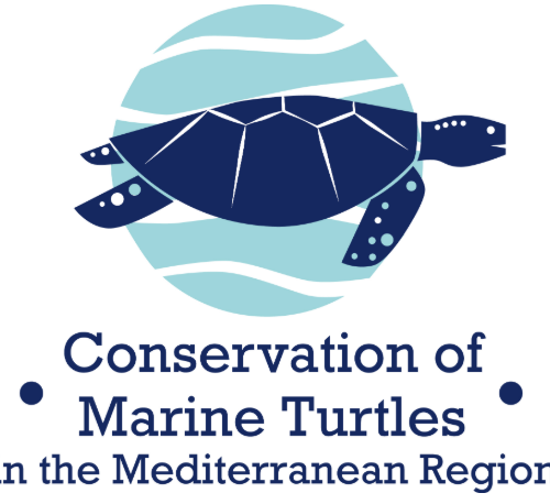 WWF Tunisie lance un appel à manifestation d&rsquo;intérêt pour la participation à la campagne de communication tortue marine en Tunisie