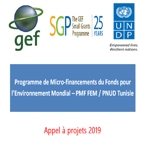 Le programme de Microfinancements du Fonds pour l&rsquo;Environnement Mondial (PMF/FEM) lance un appel à projets