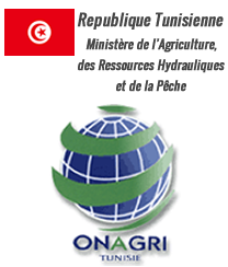 Ministère de l&rsquo;agriculture des ressources hydrauliques de la pêche DGIOFP lance un  appel à manifestation désintérêt services de consultants   pour  la réalisation de l&rsquo;étude de faisabilité dans le cadre du Don (N°TUN-1020) -AMI N°1/2019