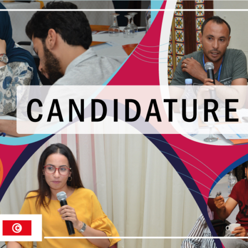 L&rsquo;Organisation Volonté et Citoyenneté lance une formation au profit des jeunes indépendants et partisans des gouvernorats de Gabès, Médenine, Tozeur, Tataouine et Kebilli