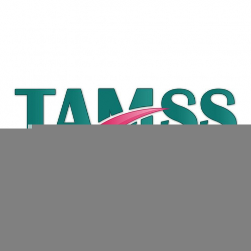 Consultant(e)-TAMSS