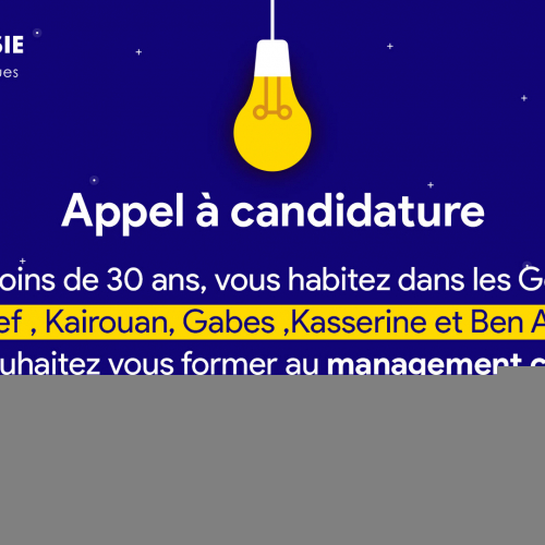 Al Badil – L’Alternative Culturelle lance un appel à candidature Formation en management culturel