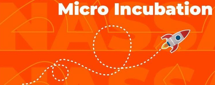 Micro incubation : Pimp Your Project !