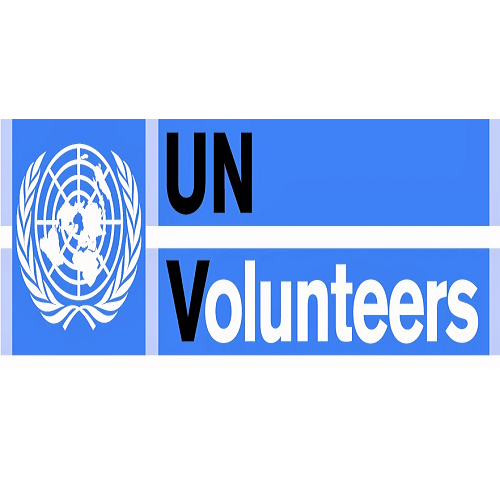 Expert société civile-Programme des Nations Unies pour les Volontaires