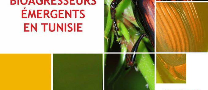 Les bio-agresseurs émergents en Tunisie : Soyons vigilants !
