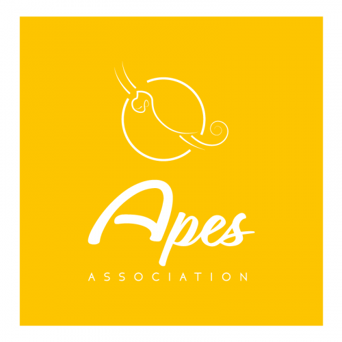 Web designer / Agence digitale-Association APES