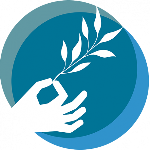 Call for projects – Paris Peace Forum