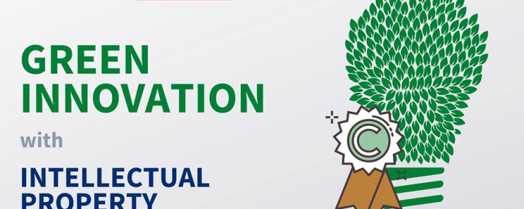 Green Innovation with Intellectual Property