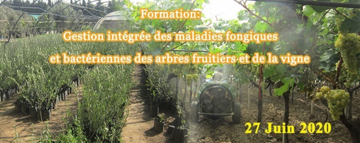Gestion intégrée des maladies fongiques et bactériennes des AF
