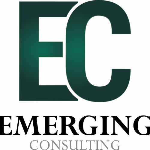 Analyst – Internship –  Emerging Consulting.