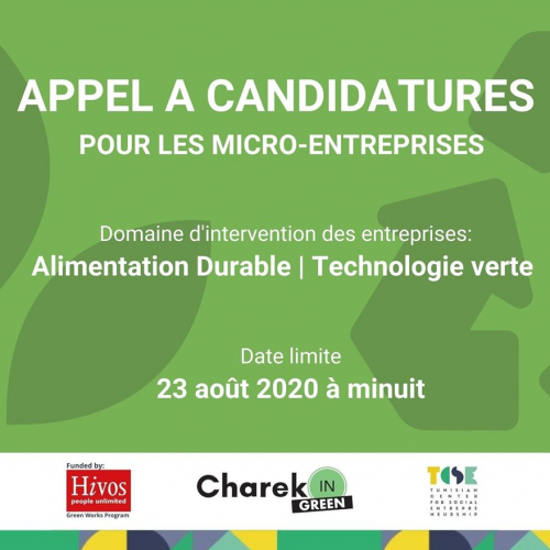 Appel à Candidatures pour les Micro-Entreprises-TCSE