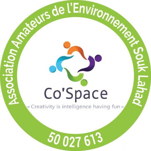 Mobilisation d’une expertise externe pour l’appui à l’élaboration d’un guide Touristique_Kebili – l’Association Amateurs de l’Environnement de Souk Lahad