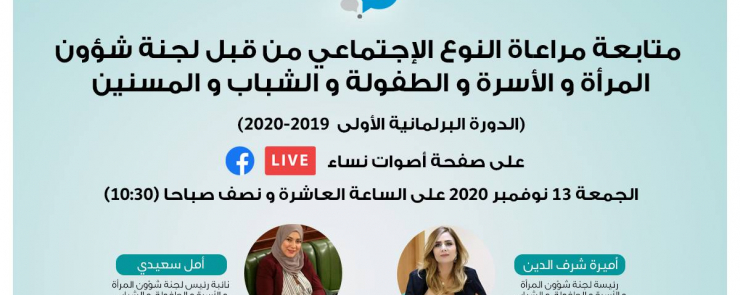 متابعة مراعاة النوع الإجتماعي من قبل لجنة شؤون المرأة و الأسرة و الطفولة و الشباب و المسنين Webinar