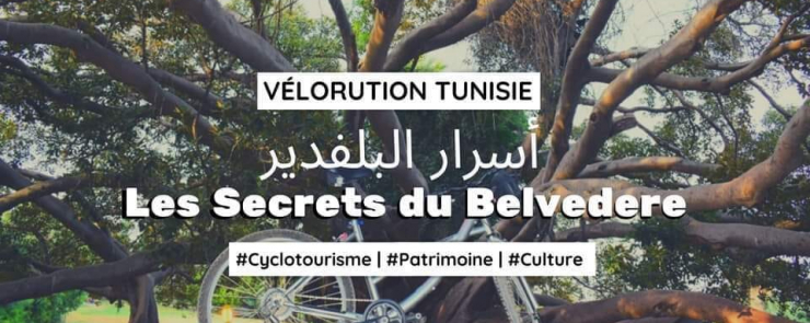 Les secrets du Belvédère | أسرار البلفدير