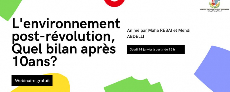 L&rsquo;environnement post-révolution, Quel bilan après 10ans?