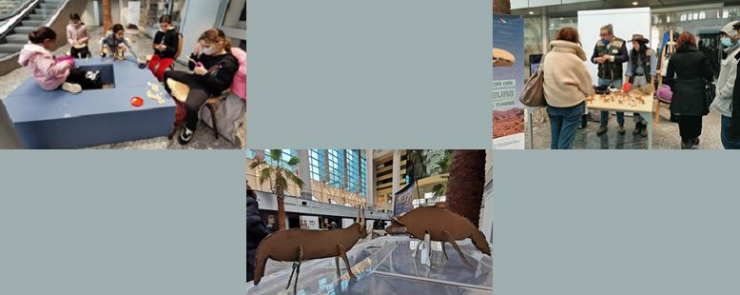 Protection de l’environnement : atelier de sensibilisation – Parents et enfants à partir de 6 ans