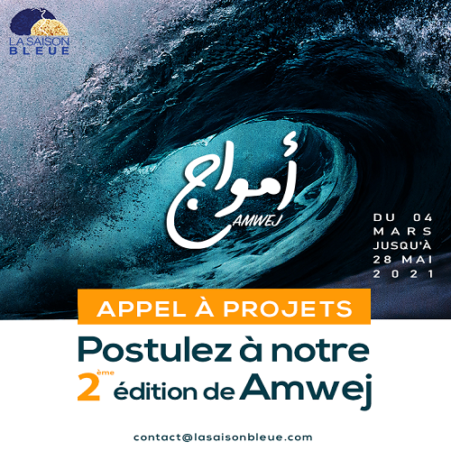 Appel à projets AMWEJ – Saison Bleu
