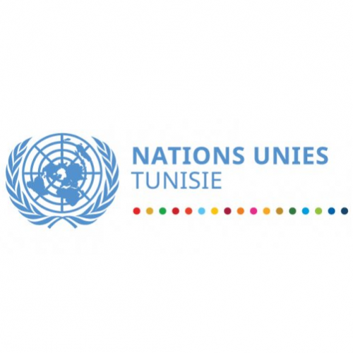 Expert national sur la mise à niveau des PME alimentaires-ONUDI