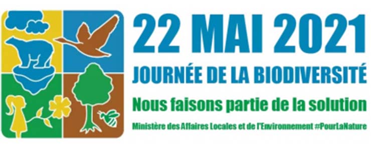 Jeux_Concours ONG 2021