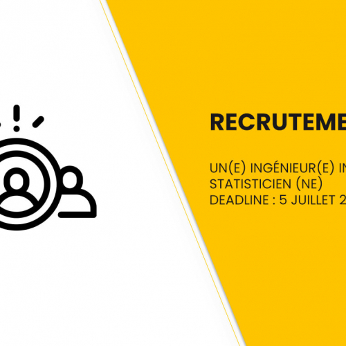 Ingénieur(e) informaticien (ne) / statisticien (ne) -International Alert en Tunisie