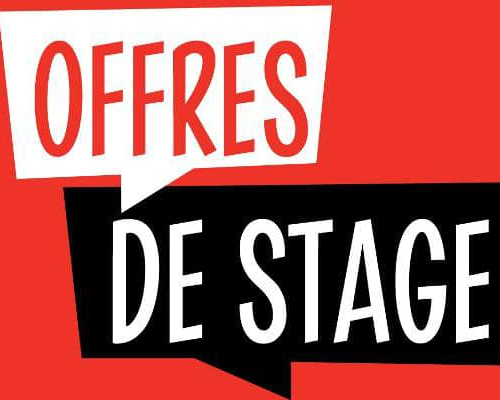 Offre de Stage-Association Lina Ben Mhenni
