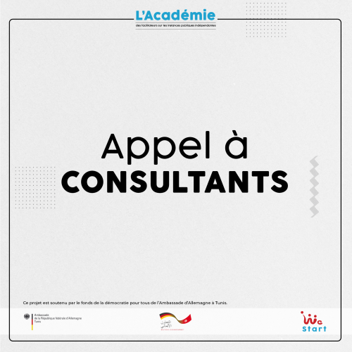 APPEL A CONSULTANTS EN POLITIQUES PUBLIQUES / WSO-WeStart Organization