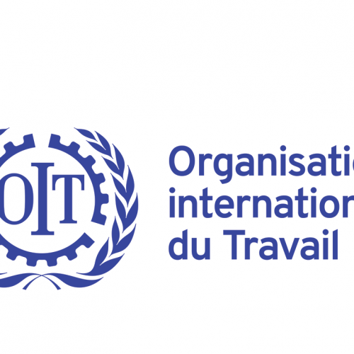 Un(e) consultant(e) pour assurer une « Enquête participative sur les perceptions des acteurs tripartites de leur rôle dans la promotion du dialogue social, de la cohésion sociale et de la promotion de l’inclusion des groupes vulnérables »-OIT