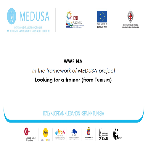 Appel à consultant (Formateur) – WWF NA