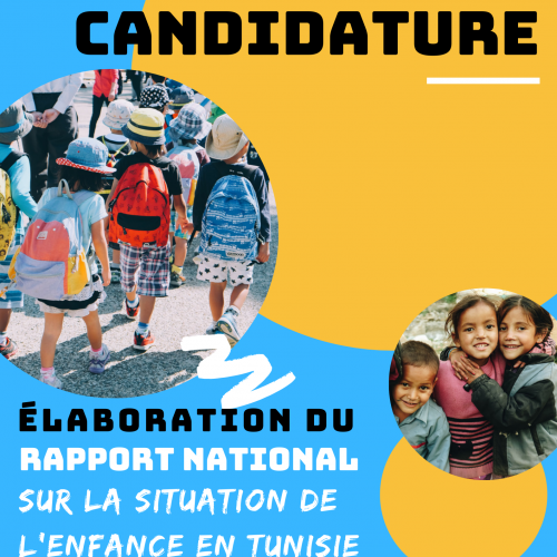 Expert national – Forum of Federations