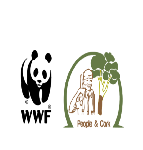 Appel d’offre pour : L’aménagement du local du Musée du Liège à Tabarka-WWF