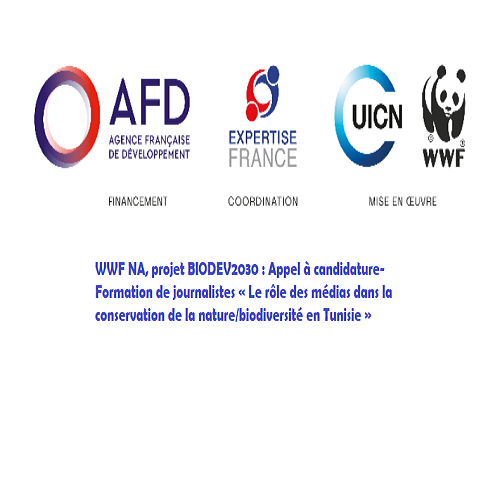 Appel à candidature- Formation de journalistes-WWF