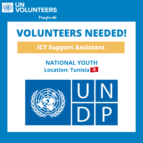Un(e) volontaire ICT Support Assistant-UNDP