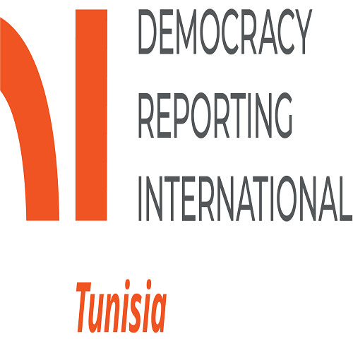 Democracy Reporting International (DRI) :Youth Social Media Engagement Expert