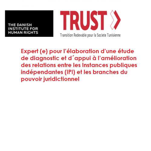 Expert(e) pour l&rsquo;élaboration d&rsquo;une étude de diagnostic et d&rsquo;appui à l&rsquo;amélioration des relations entre les Instances publiques indépendantes (IPI) et les branches du pouvoir juridictionnel-Institut Danois des Droits de l&rsquo;Homme 