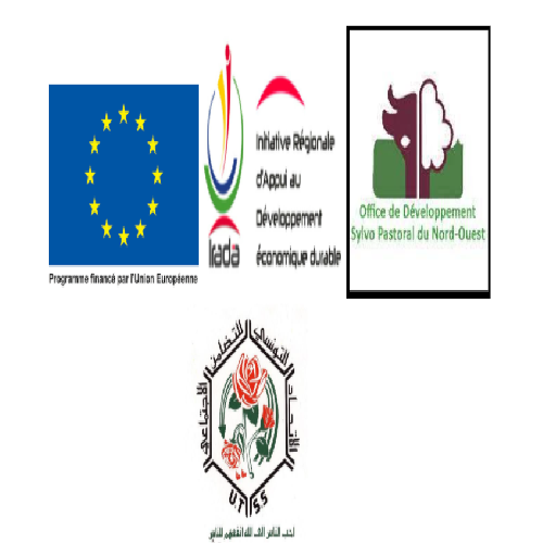 Formation des formateurs-conseillers spécialisés en apiculture-UTSS