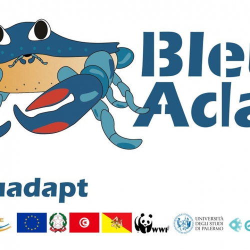 CONCEPTEURS D&rsquo;UNE ŒUVRE SCULPTURALE POUR L’AMENAGEMENT PAYSAGER D’UN ROND-POINT   « EL CHARGUI » A « KERKENNAH» GOUVERNORAT DE SFAX/TUNISIE