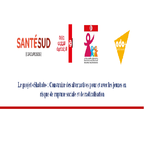 Un.e consultant.e statisticien.enne-Le projet «Shabab»