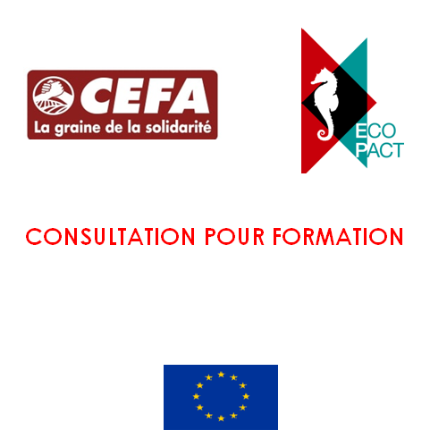Animateur ateliers thématiques – Bizerte ECO-GOV » -CEFA & EcoPact